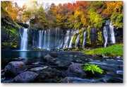 Shiraito waterval in de herfst