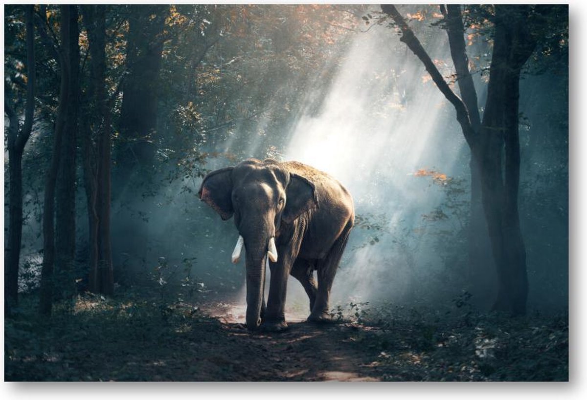 Olifant - 1500 Stukjes puzzel voor volwassenen - Besteposter - Dieren
