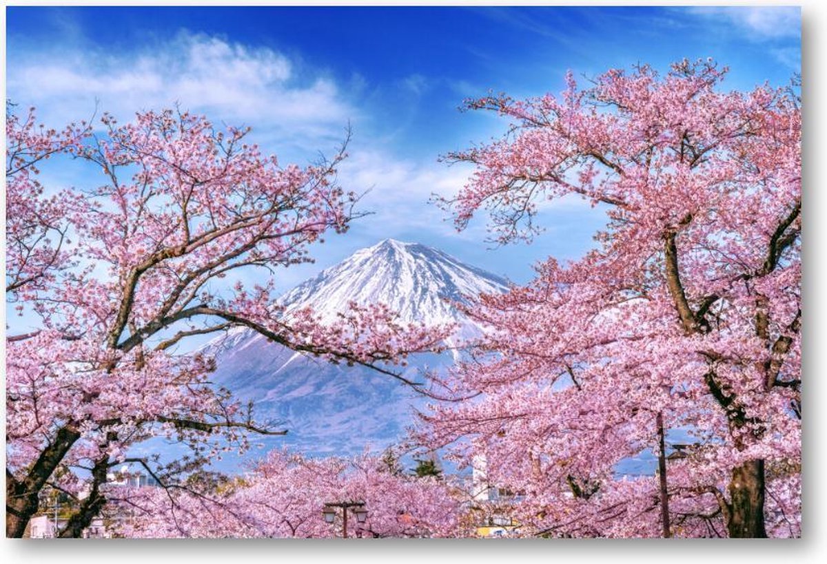 Fuji-berg en kersenbloesems in de lente