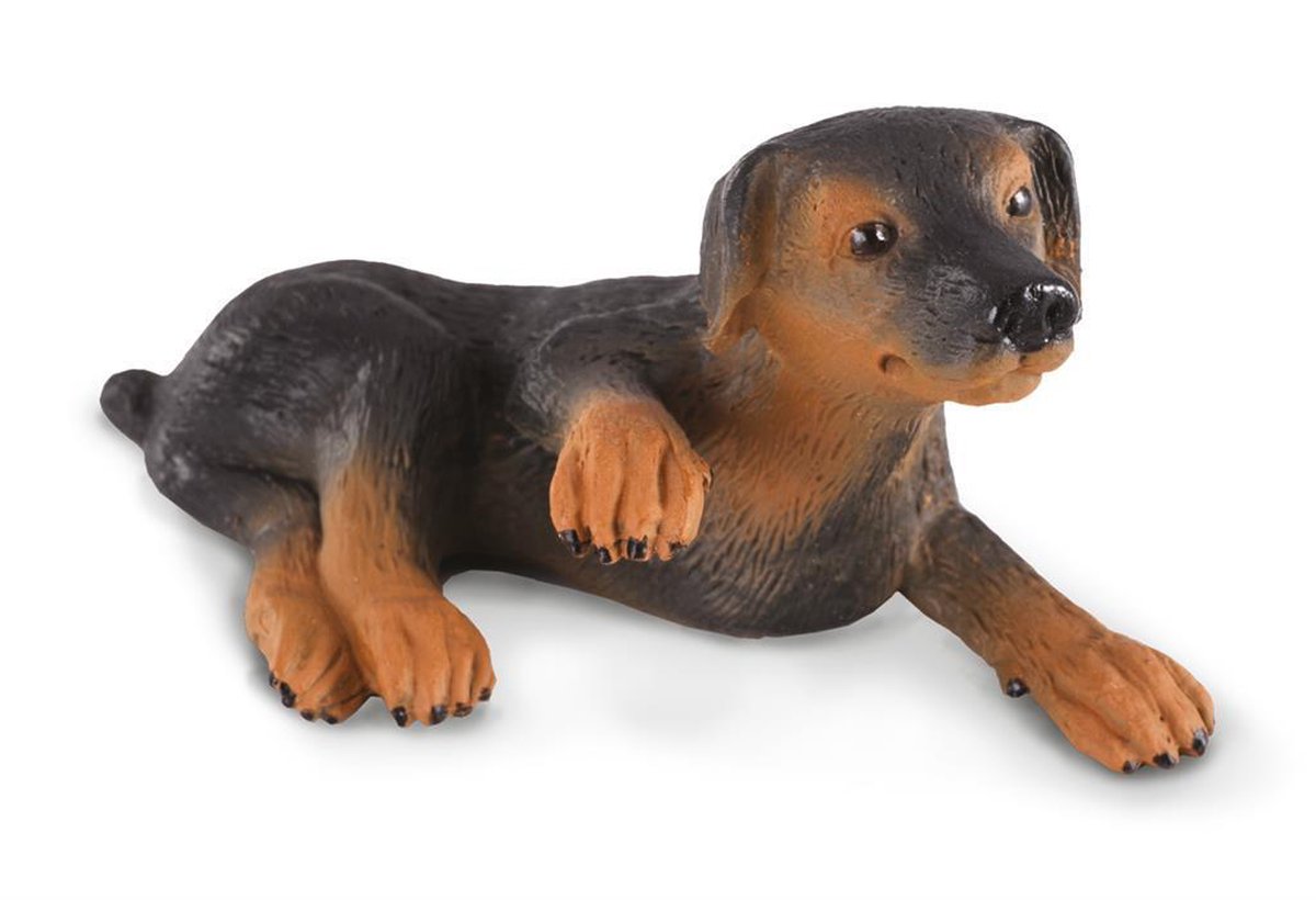 Collecta Honden (S): DOBERMAN PINCHER PUPPY 5.5x3x3cm