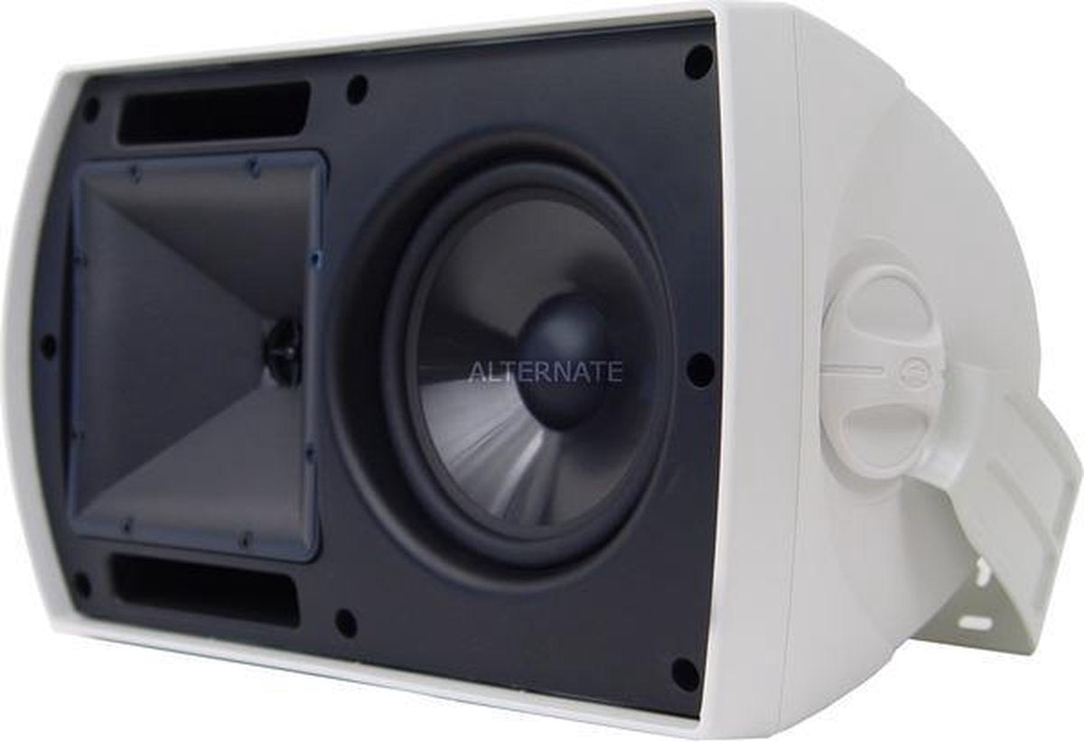 Klipsch AW-650 luidspreker