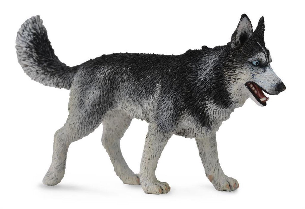 Collecta Honden (L): SIBERISCHE HUSKY 10.5x6.2cm