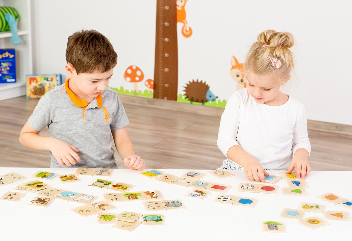 Houten cognitopuzzel vormen