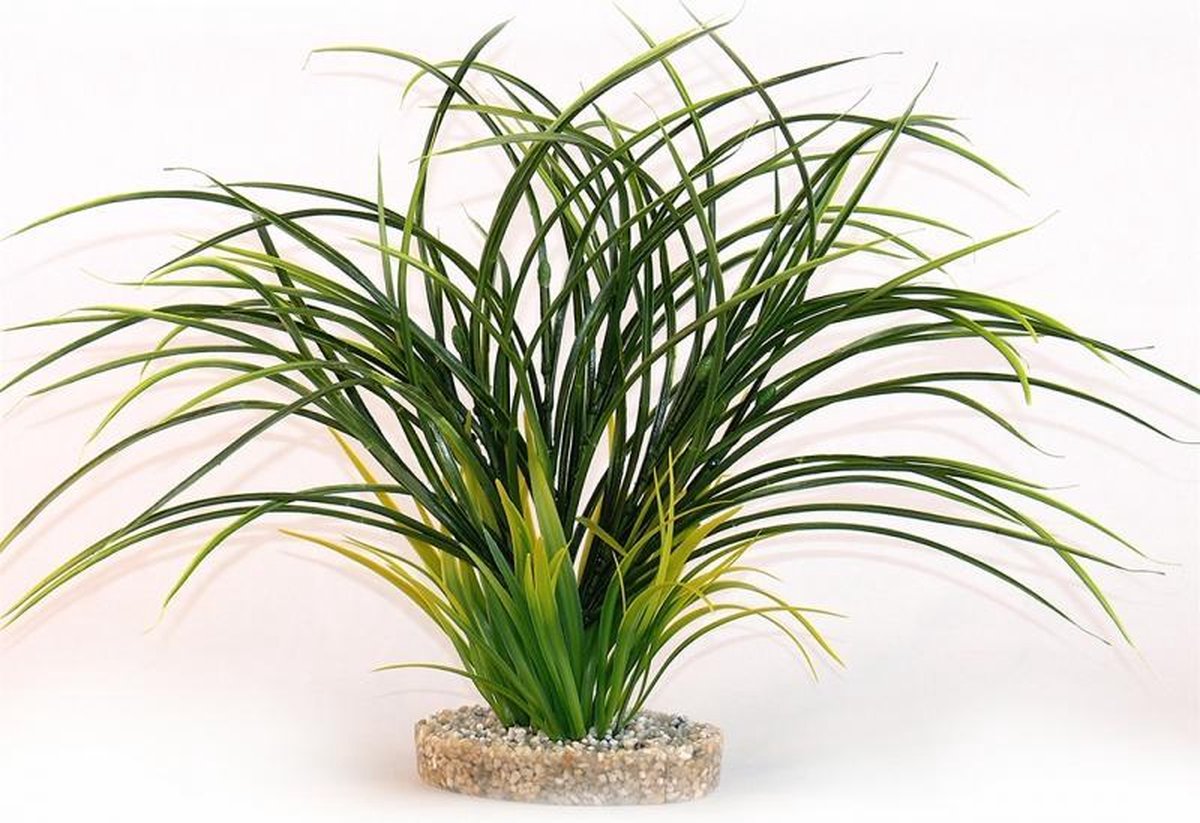 Sydeco waaier gras 30CM