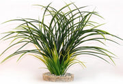 Sydeco waaier gras 30CM