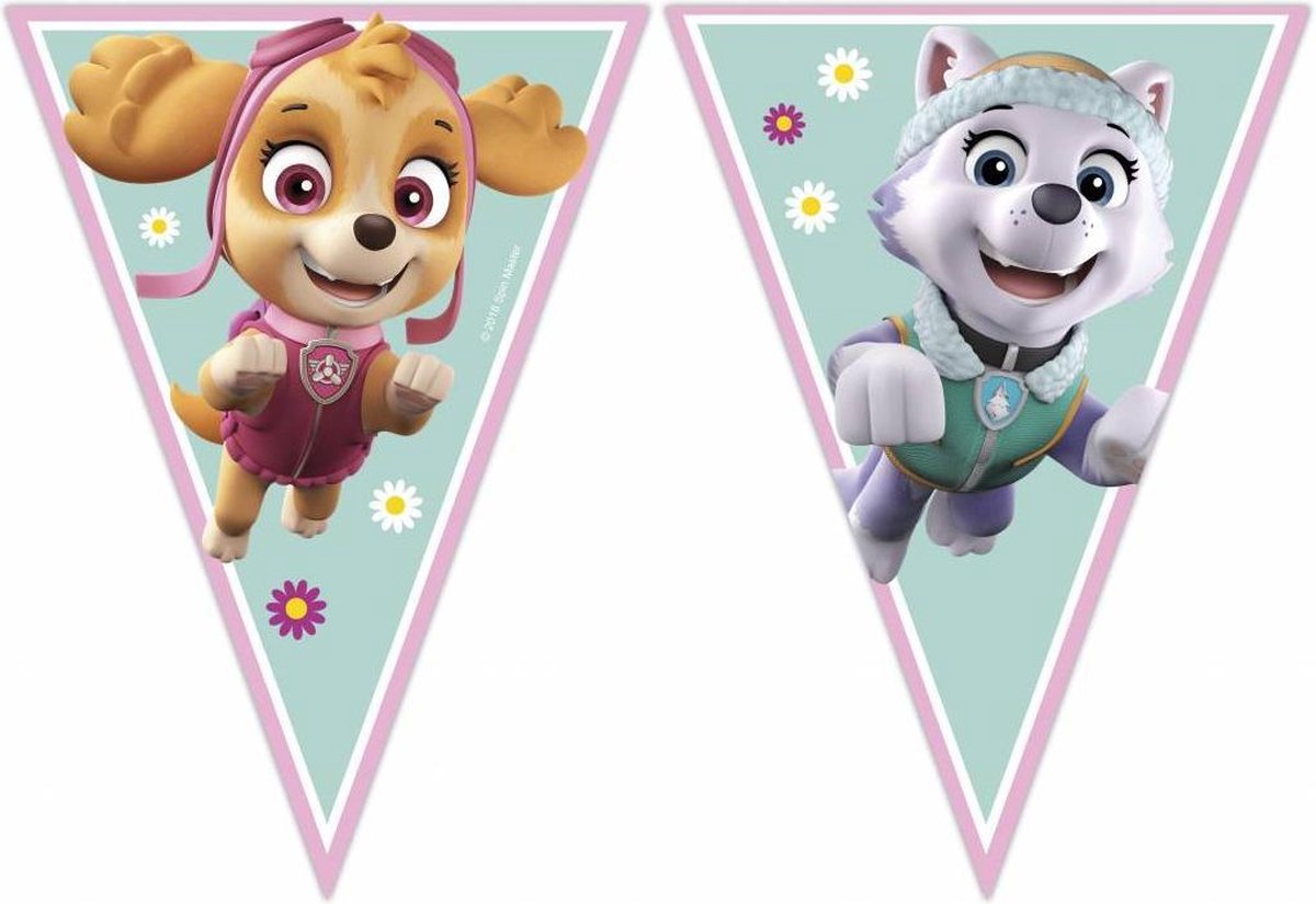 Paw Patrol Slingers Skye and Everest 2