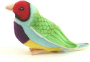 Gouldamadine vogel knuffel 11 cm
