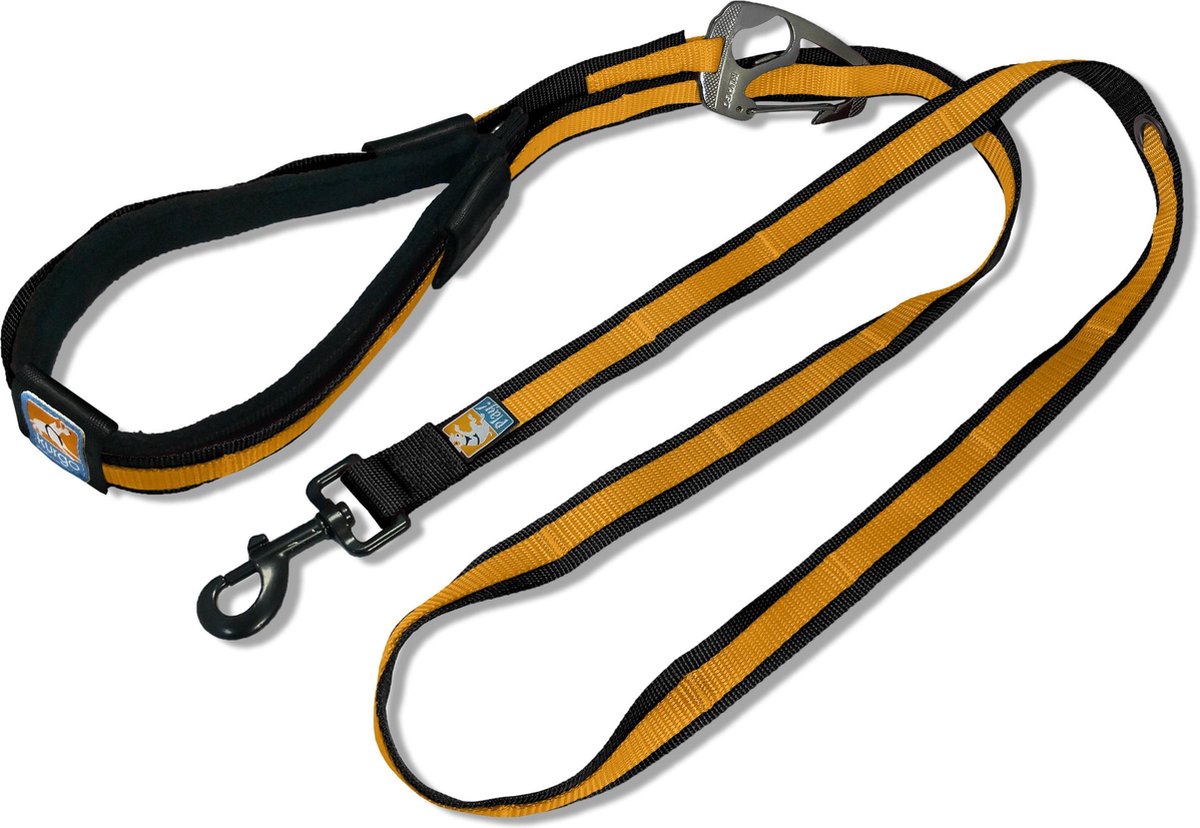Kurgo - Quantum Leash - Black/Orange