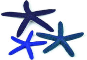 Biorb zeester set - blauw
