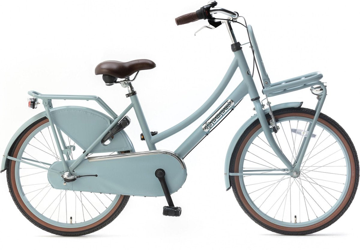 Popal Popal Daily Dutch Basic+ - Kinderfiets - Meisjes - Matblauw - 22 Inch