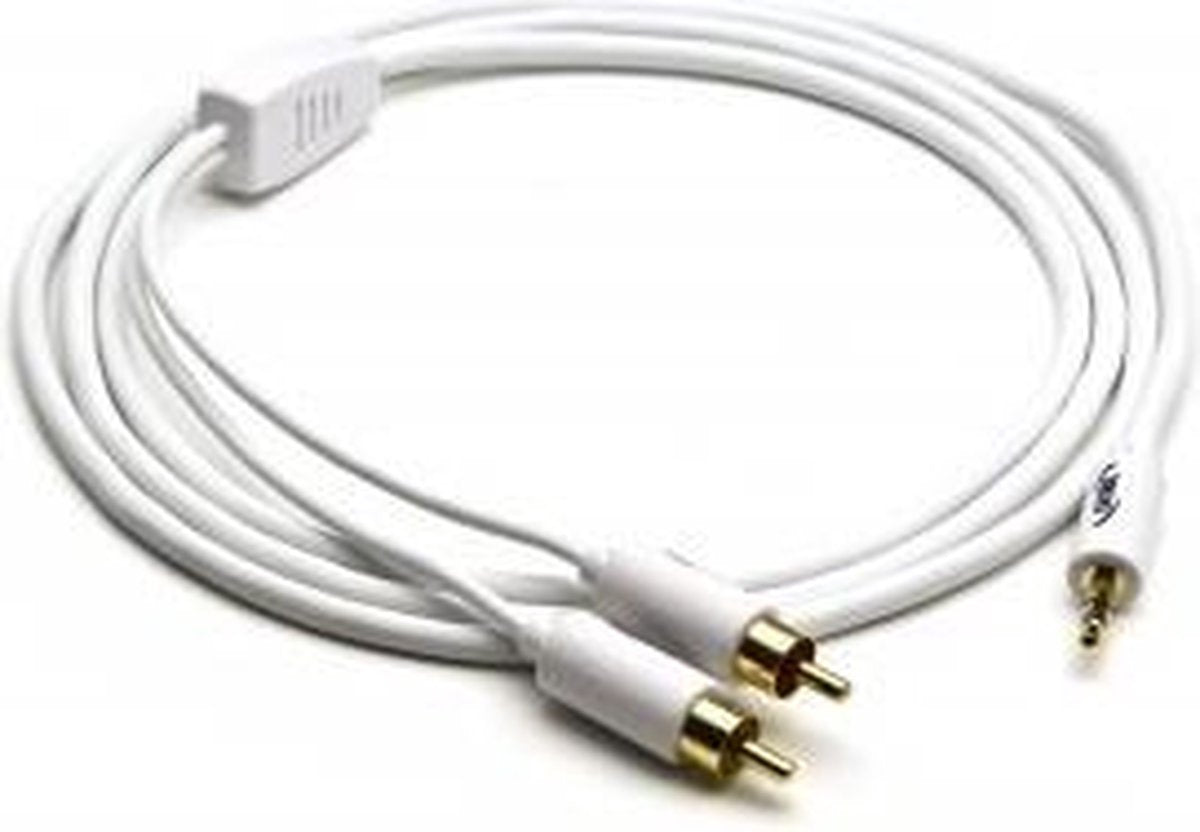 G&BL ICW35RCA2 audio kabel 1