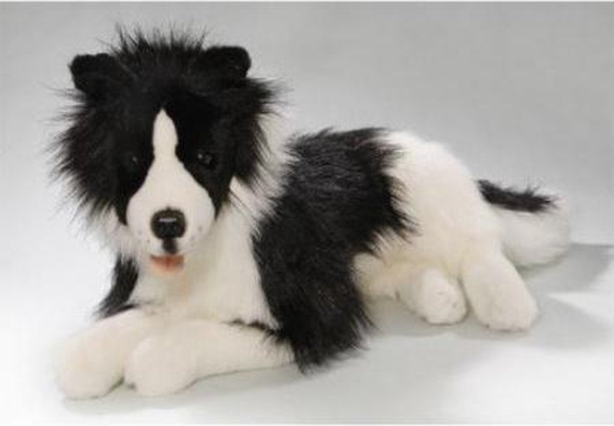 Bicolini Liggende Border Collie 42 cm
