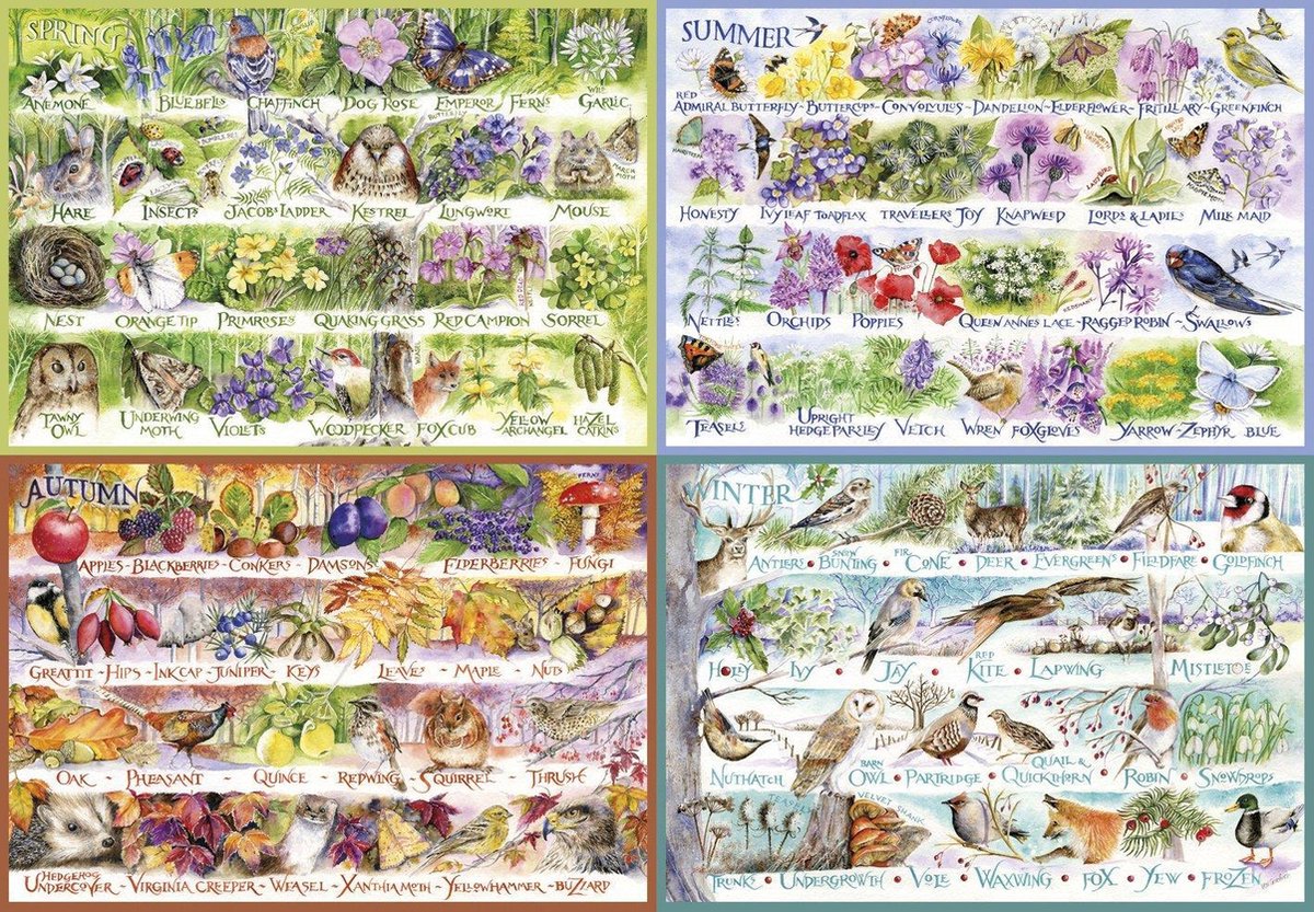 Gibsons puzzel Woodland Seasons - 2000 stukjes