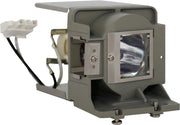 BenQ 5J.J4R05.001 Projector Lamp (bevat originele UHP lamp)