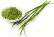 Tarwegras poeder | bio EU| 125 gram
