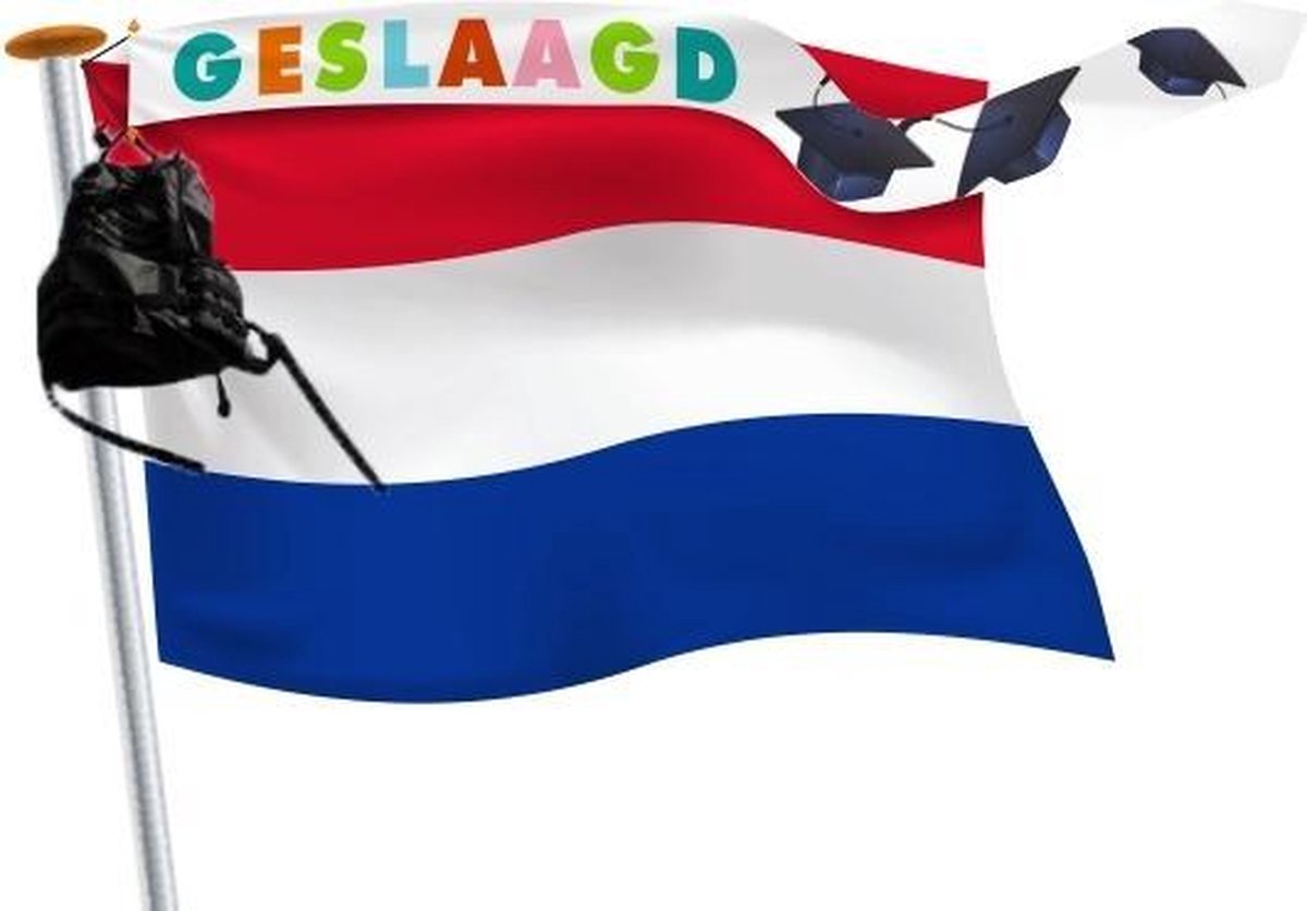 Geslaagd wimpel 18x165cm Vrolijke kleuren