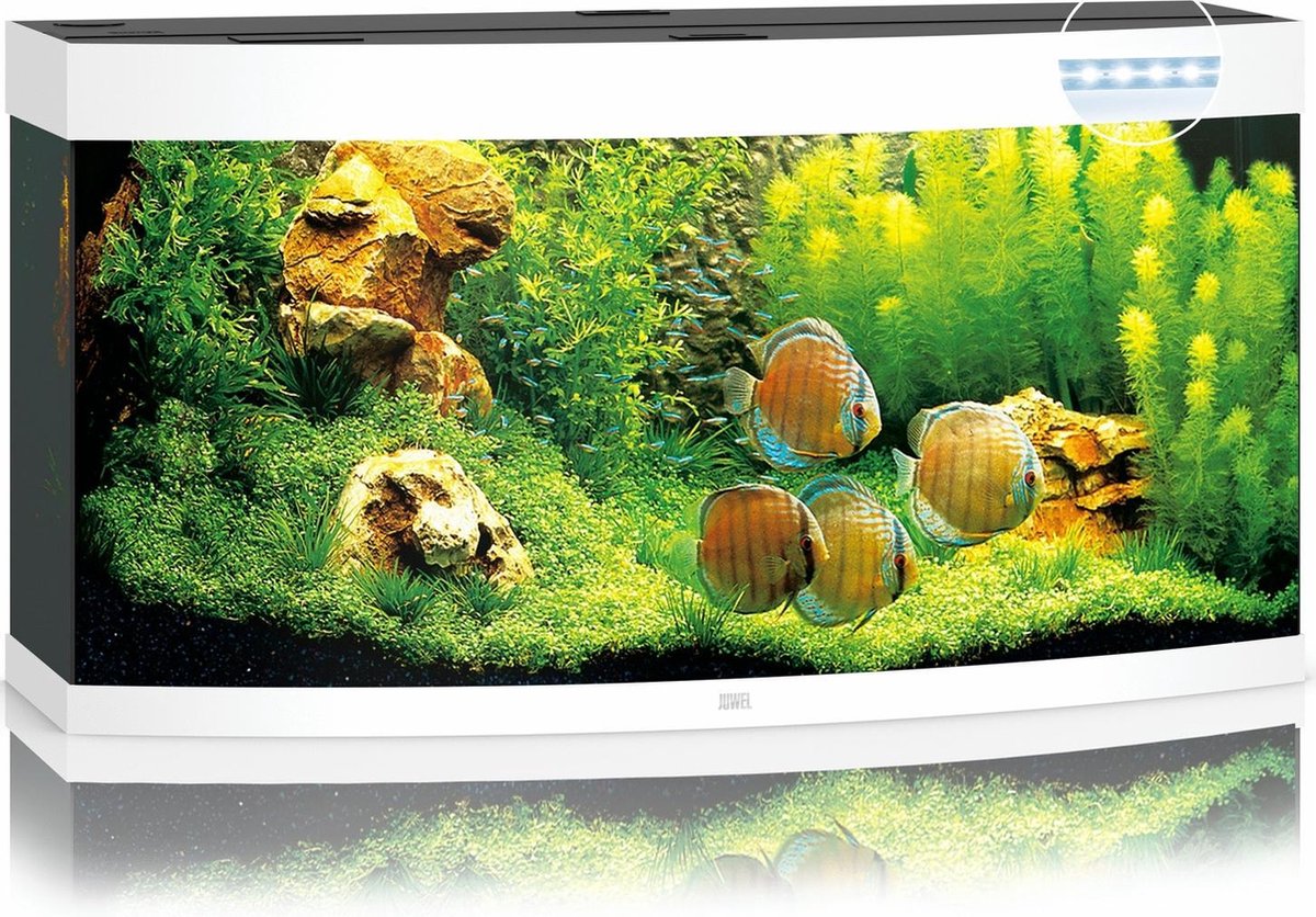 Juwel Aquarium Vision 260 Led 121x46x64 cm Wit Ca. 260 L