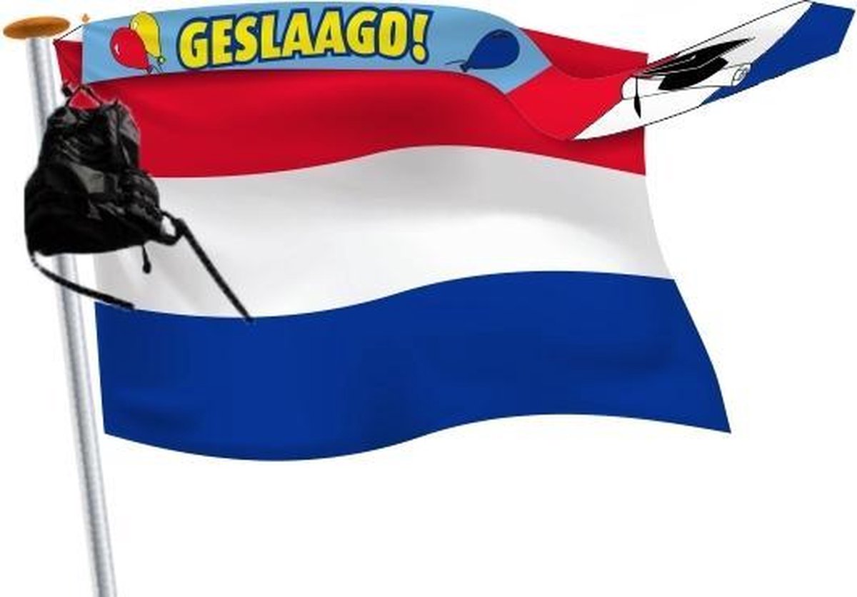Geslaagd wimpel 25x300cm blauw
