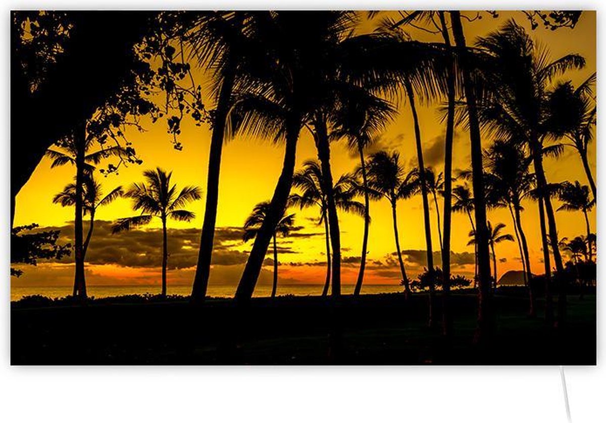 Invroheat infrarood verwarming Tropical Sunset - Infrarood verwarmingspaneel warmt snel op en energiezuinig - zonder thermostaat - 650W