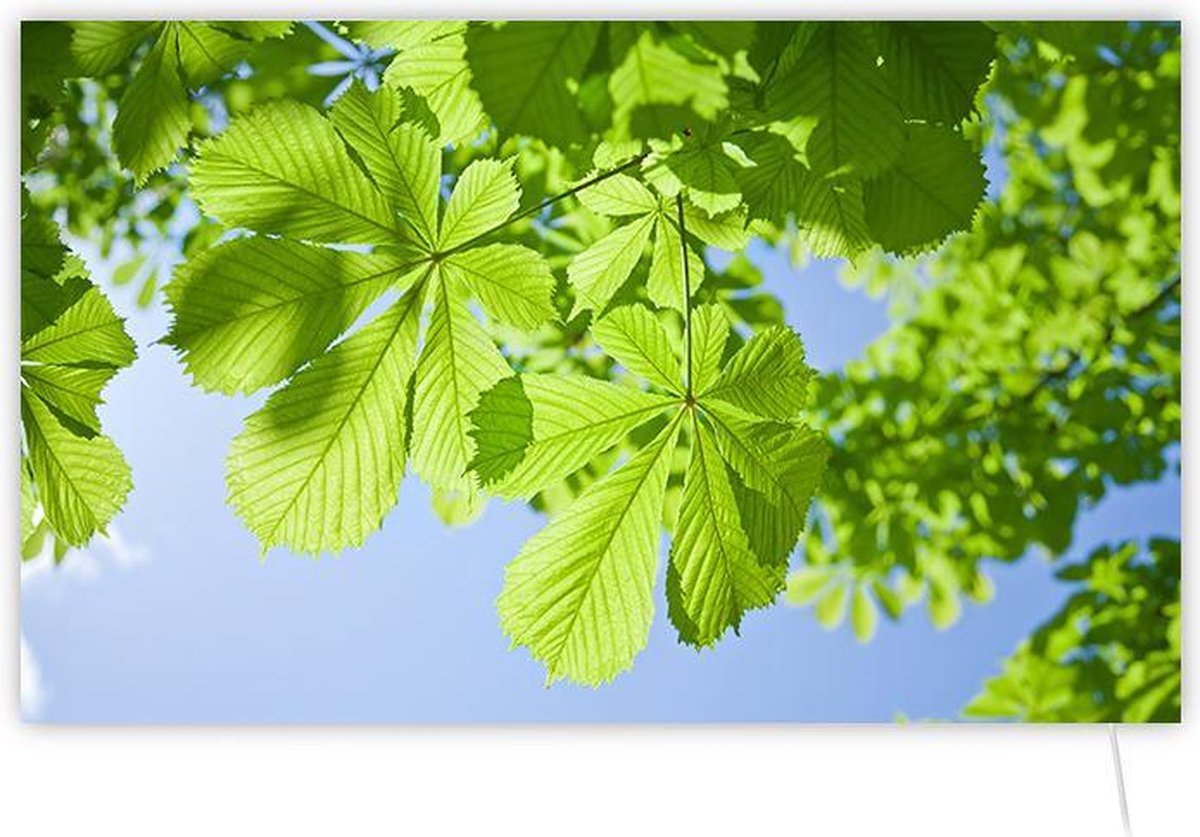 Invroheat infrarood verwarming Leaves - Infrarood verwarmingspaneel warmt snel op en energiezuinig - zonder thermostaat - 650W