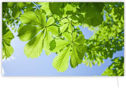 Invroheat infrarood verwarming Leaves - Infrarood verwarmingspaneel warmt snel op en energiezuinig - met thermostaat - 650W