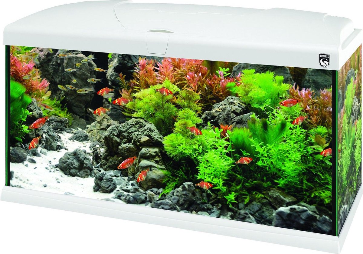 Trofis Start 60 Wit Aquarium