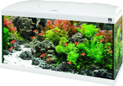 Trofis Start 50 Wit Aquarium