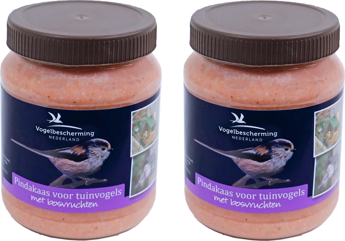 2x Potten vogelpindakaas met bosvruchten 330 gram - Winter vogelvoer/dierenvoer