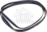 Hutchinson Poly-V-snaar 1951 H7 TRA 800-900 serie 481235818156
