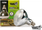Giganterra Gigasun 100 Watt