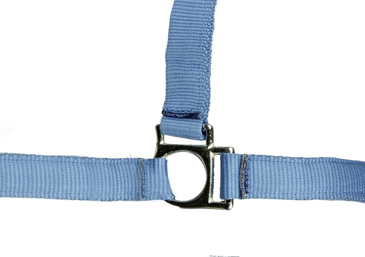 Halster -Stars Softice- kobaltblauw Cob
