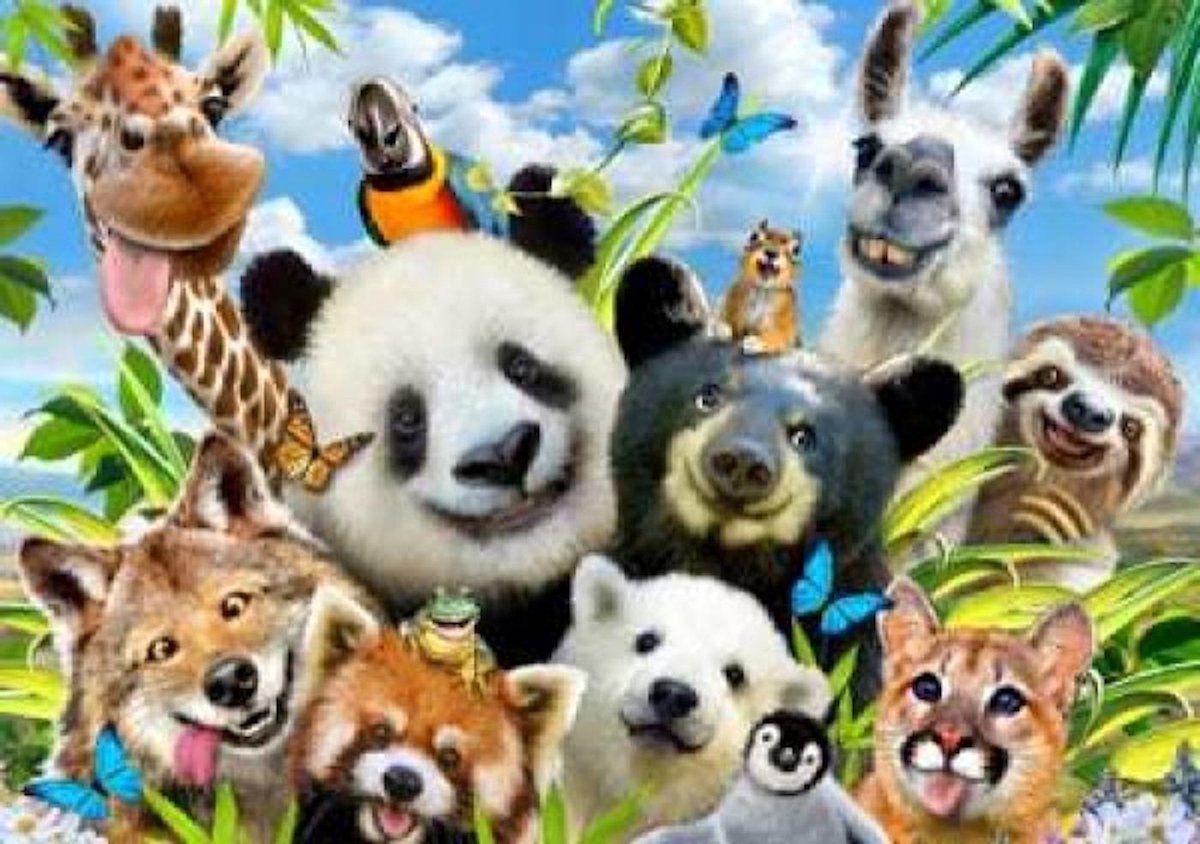Diamond painting - Complete set - Dieren feest - Ronde steentjes