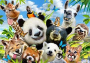 Diamond painting - Complete set - Dieren feest - Ronde steentjes
