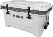 Igloo IMX 70 - Grote koelbox - 67 Liter - Wit