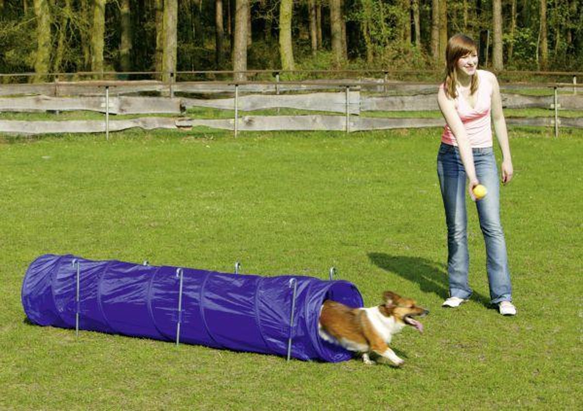 Flamingo  Hondentraining Agility tunnel - Blauw - 198 x 40 x 40cm
