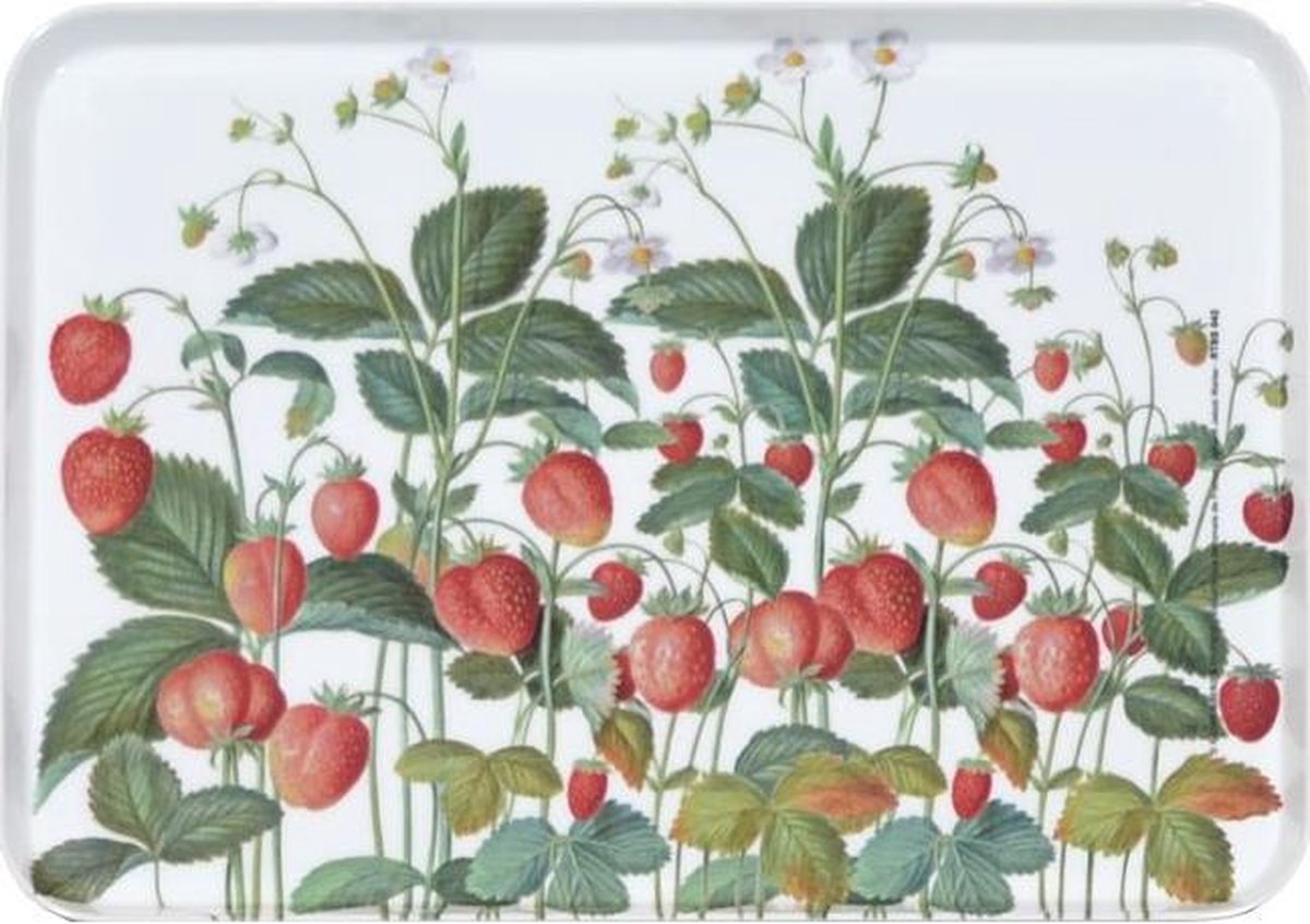 Dienblad Aardbeien 30x21cm