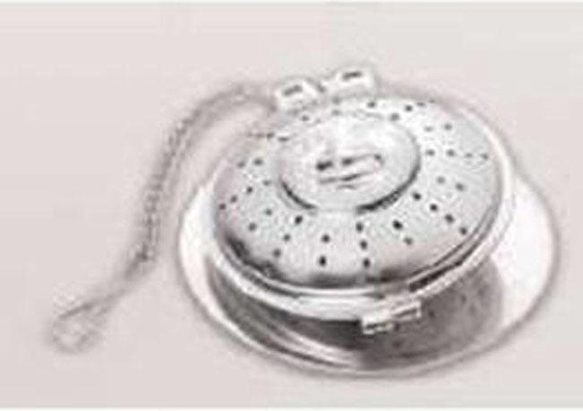 Thee-bolletje stainless steel Zon met schoteltje