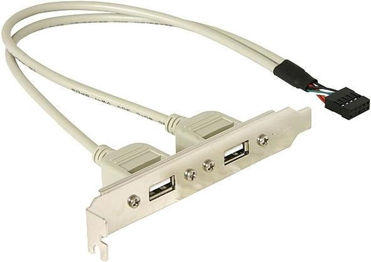 Delock -  naar USB 2.0 A Female - 0.3 m