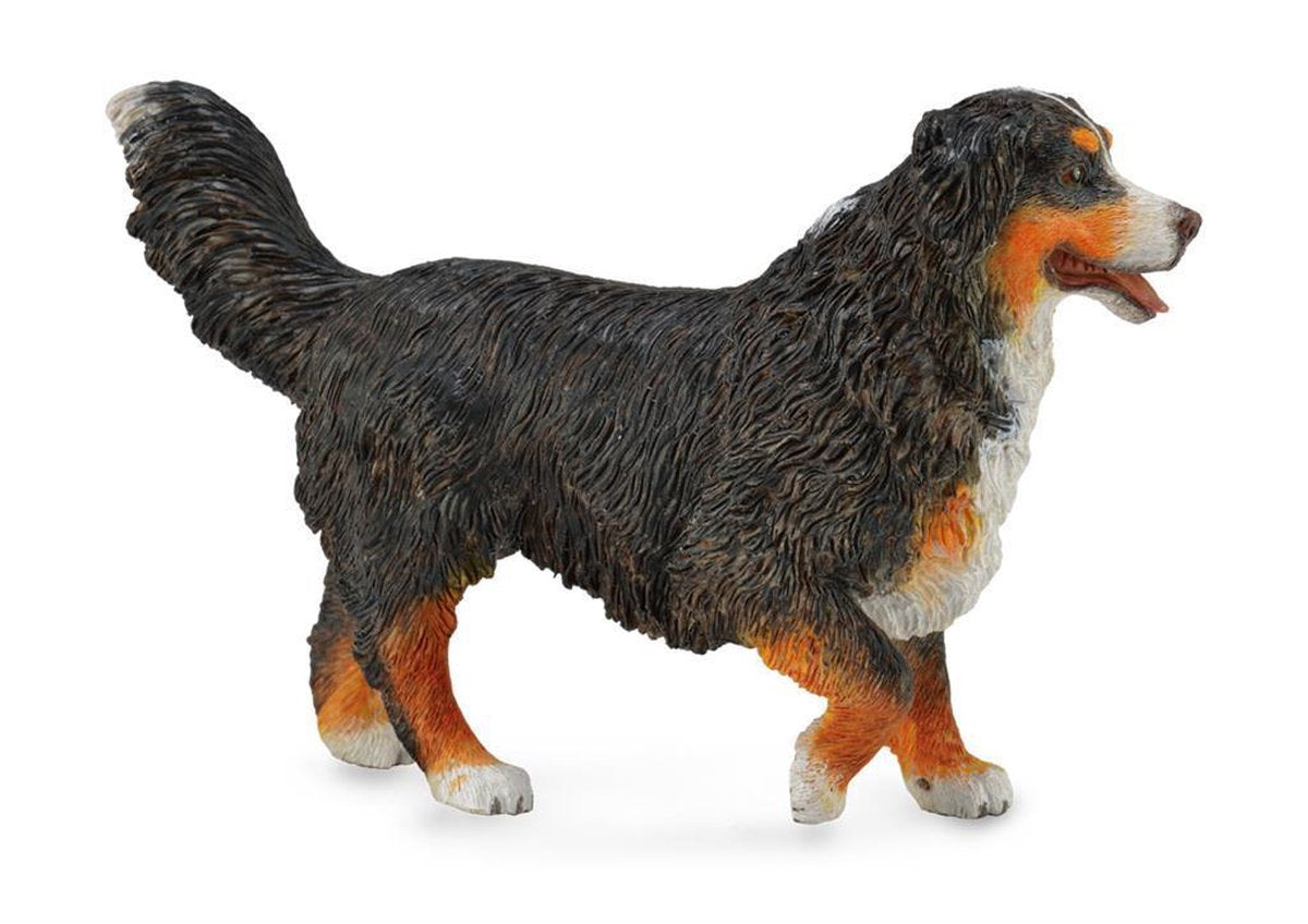 Collecta Honden Berner Sennenhond 10
