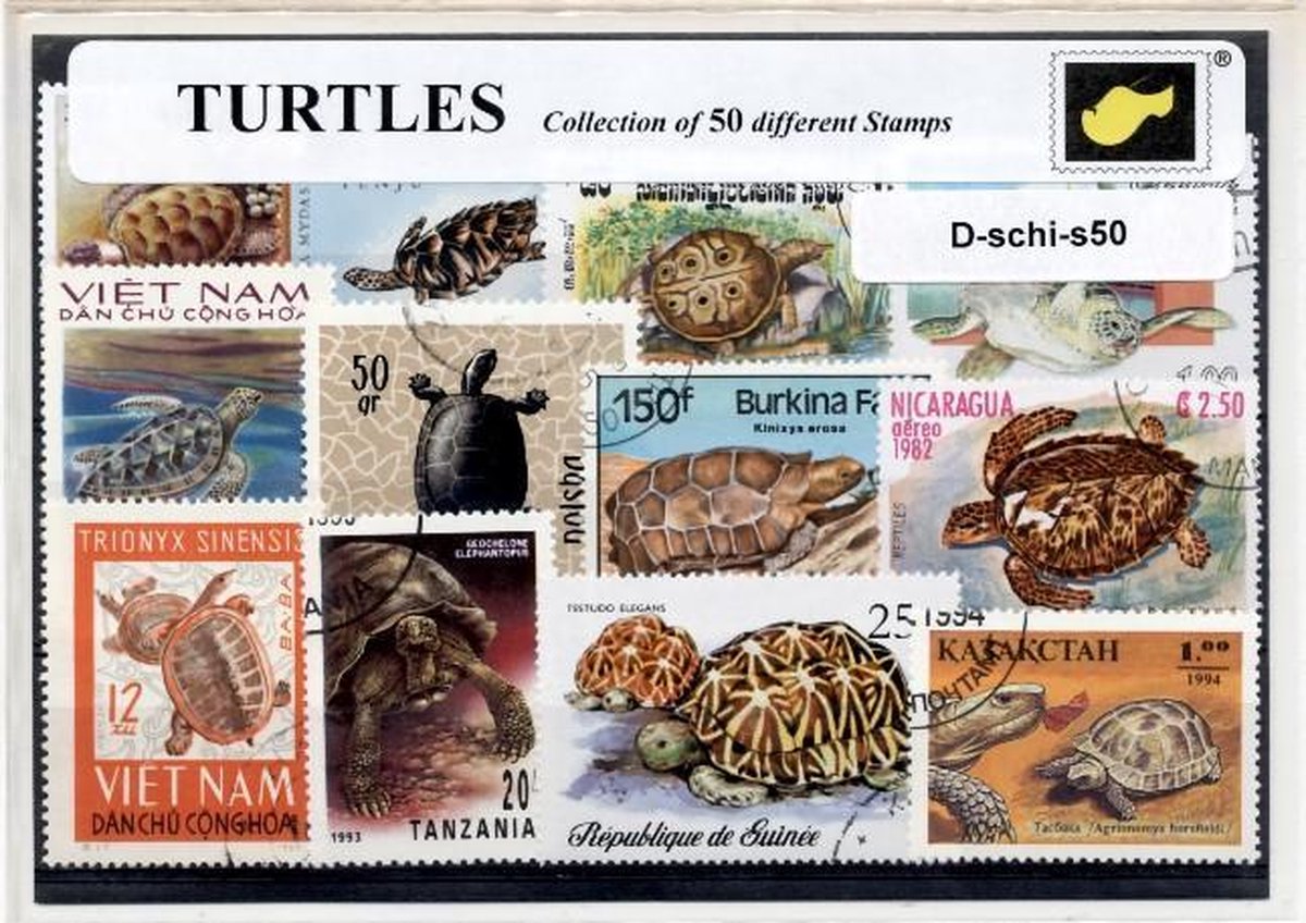 Schildpadden– Luxe postzegel pakket (A6 formaat) : collectie van 50 verschillende postzegels van schildpadden – kan als ansichtkaart in een A6 envelop - authentiek cadeau - cadeau - geschenk - kaart - zee -reptiel - zwemmen - schildpad - turtle