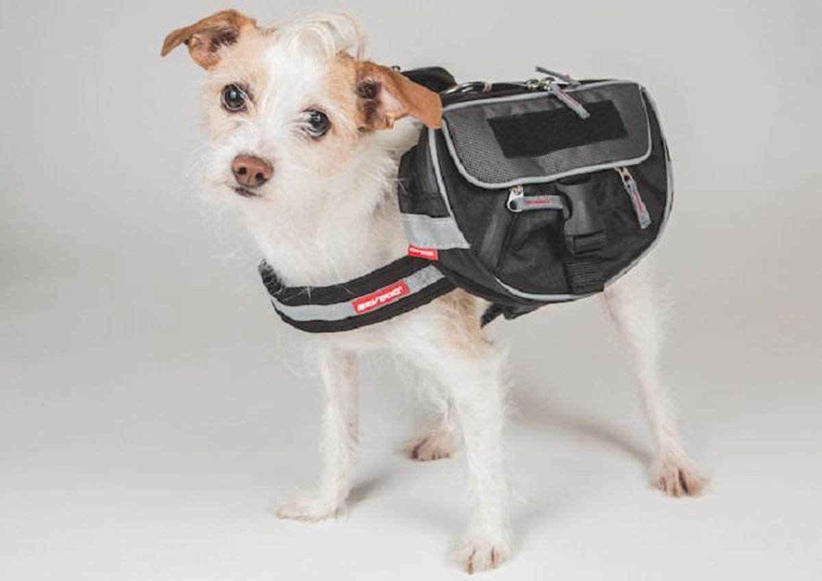 Hondenrugtassen EZYDOG Convert Saddle Bags