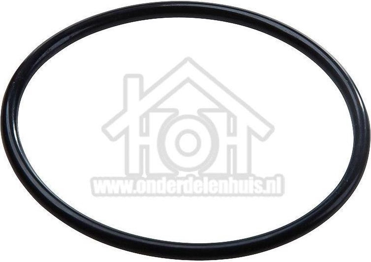 Saeco O-ring Afdichting boiler 167 EPDM 70 SH DM=70mm BABYD