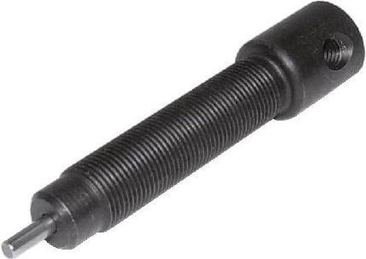Vervang. spindel+stift ketting pons profi Cyclus 720924