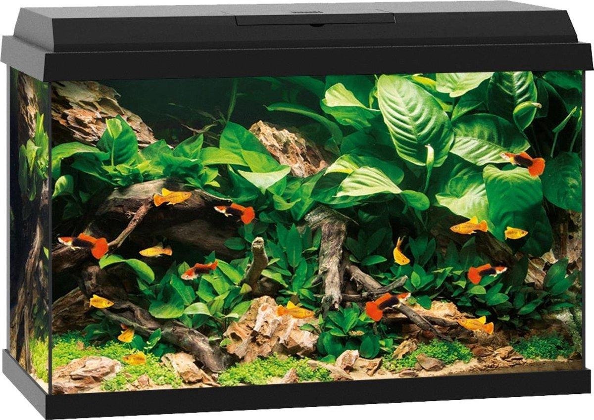 Juwel aquarium primo 70 Zwart 61x31x44CM