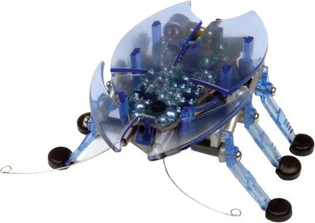 Hexbug Speelfiguur Kever Junior 7