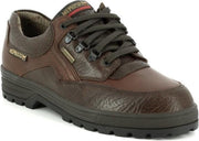 034-B818-218 Bruin 13.5