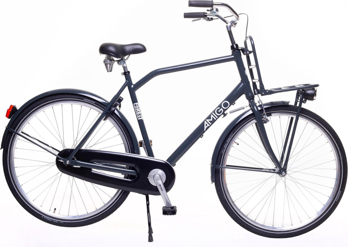 Amigo Forest - Transportfiets 28 inch - Herenfiets met voordrager - Grijs
