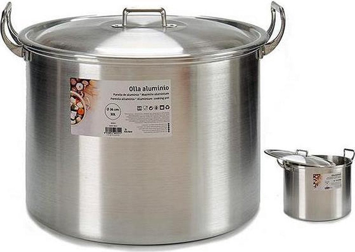 Slowcooker Aluminium (30 L) (39 x 31 x 48