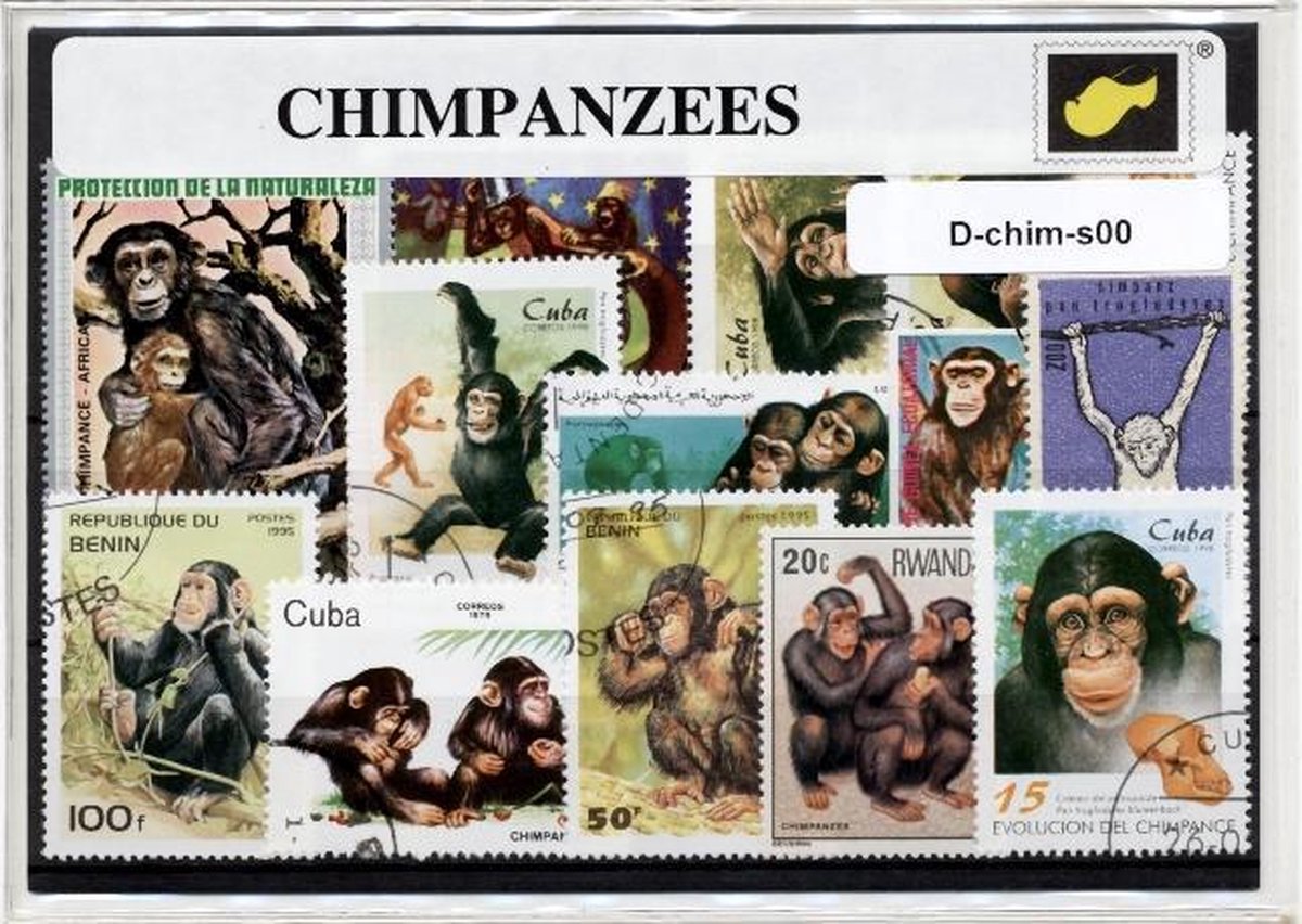 Chimpansees - Luxe postzegel pakket (A6 formaat) : collectie van verschillende postzegels van chimpansees – kan als ansichtkaart in een A6  envelop - authentiek cadeau - kado - kaart -primaat - primaten - chimpansee