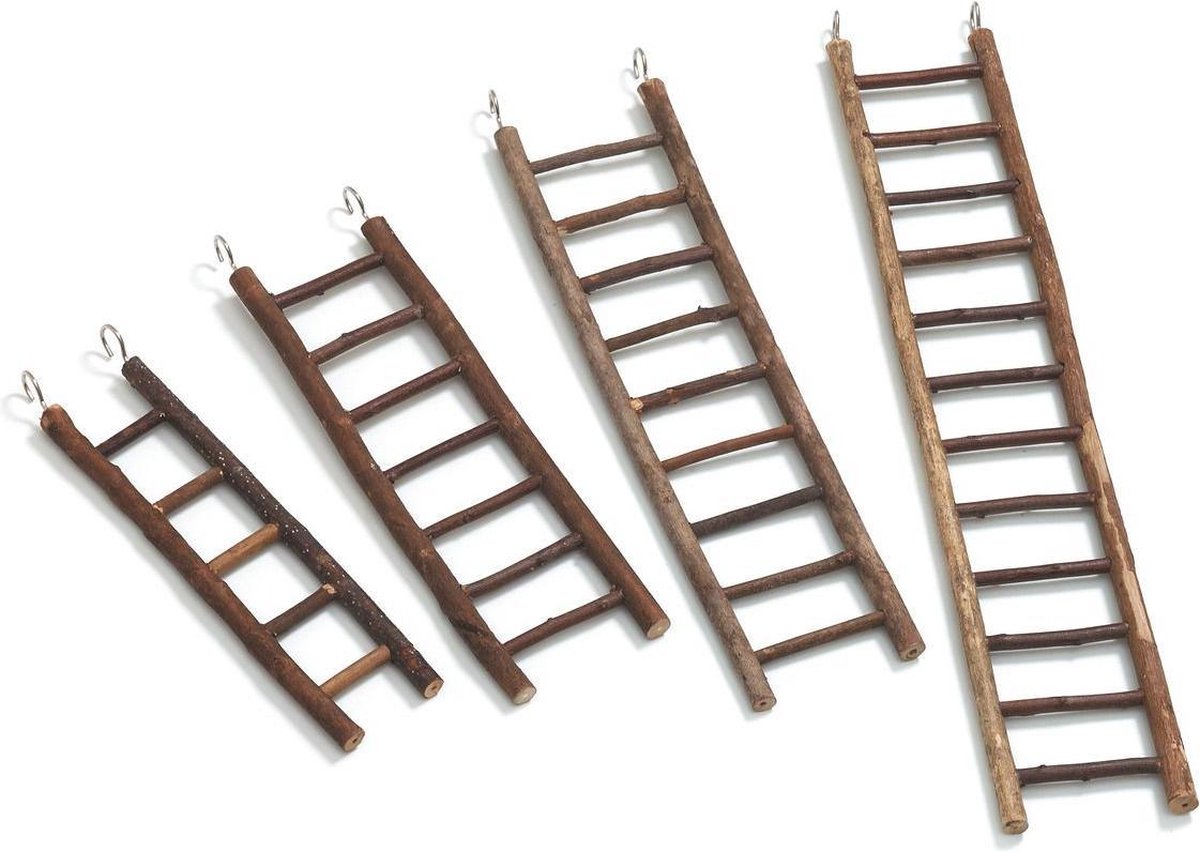 Parakeet ladder 9 steps